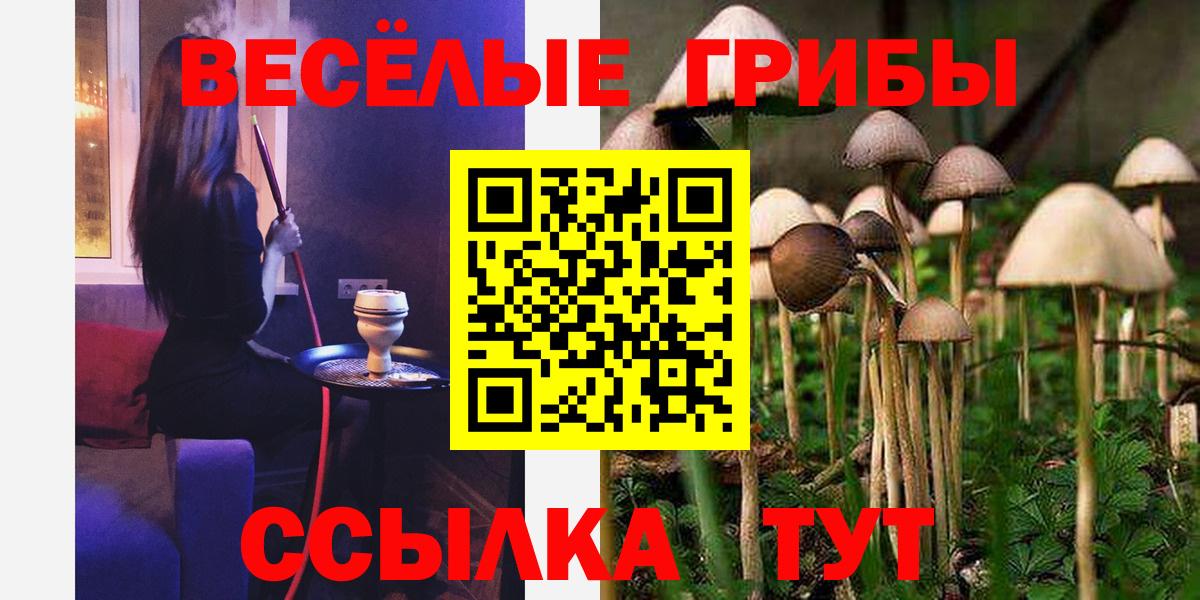 Псилоцибиновые грибы мицелий  Вход с VPN  где можно купить наркотик  Шелехов 