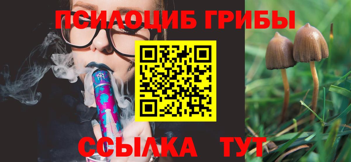 Псилоцибиновые грибы Magic Shrooms Шелехов